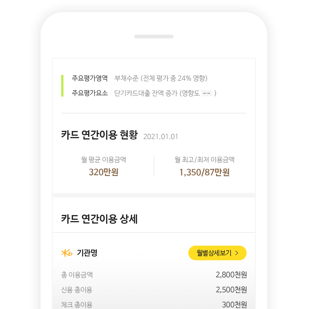 카드 연간이용 현황(월 평균 이용금액, 월 최고/최저 이용금액 확인 가능), 카드 연간이용 상세 등 현재 신용점수 결과 보고서 내 예시 화면