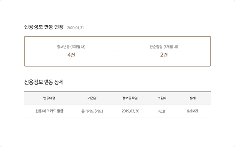 신용정보 변동 현황(3개월 내 정보변동 건수, 3개월 내 단순점검 건수), 신용정보 변동 상세 내용 예시 화면