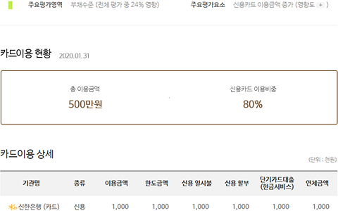 종합신용관리 보고서 중 카드 이용정보 화면의 주요평가영역, 주요평가요소 안내 및 카드이용 현황(총 이용금액, 신용카드 이용비중)과 카드이용 상세 샘플화면