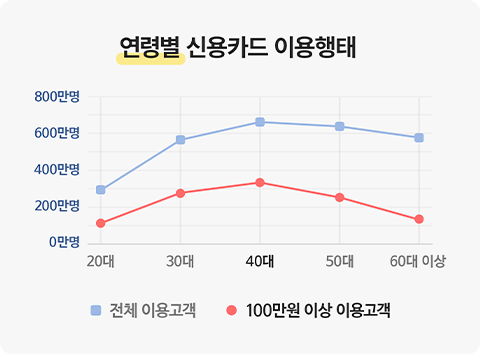 연령별 신용카드 이용행태