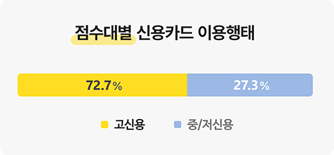 점수대별 신용카드 이용행태